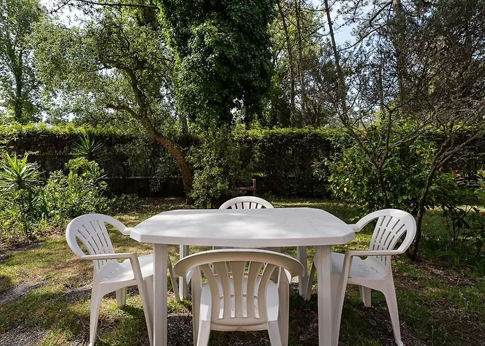 Guestready - A Paradisiac In *